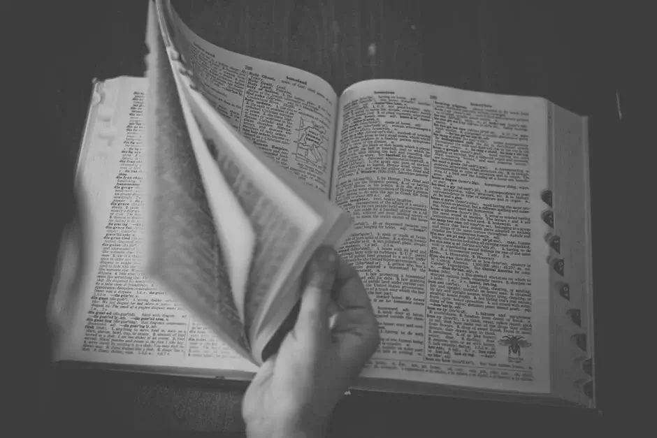 An open dictionary showing reference definitions on the page