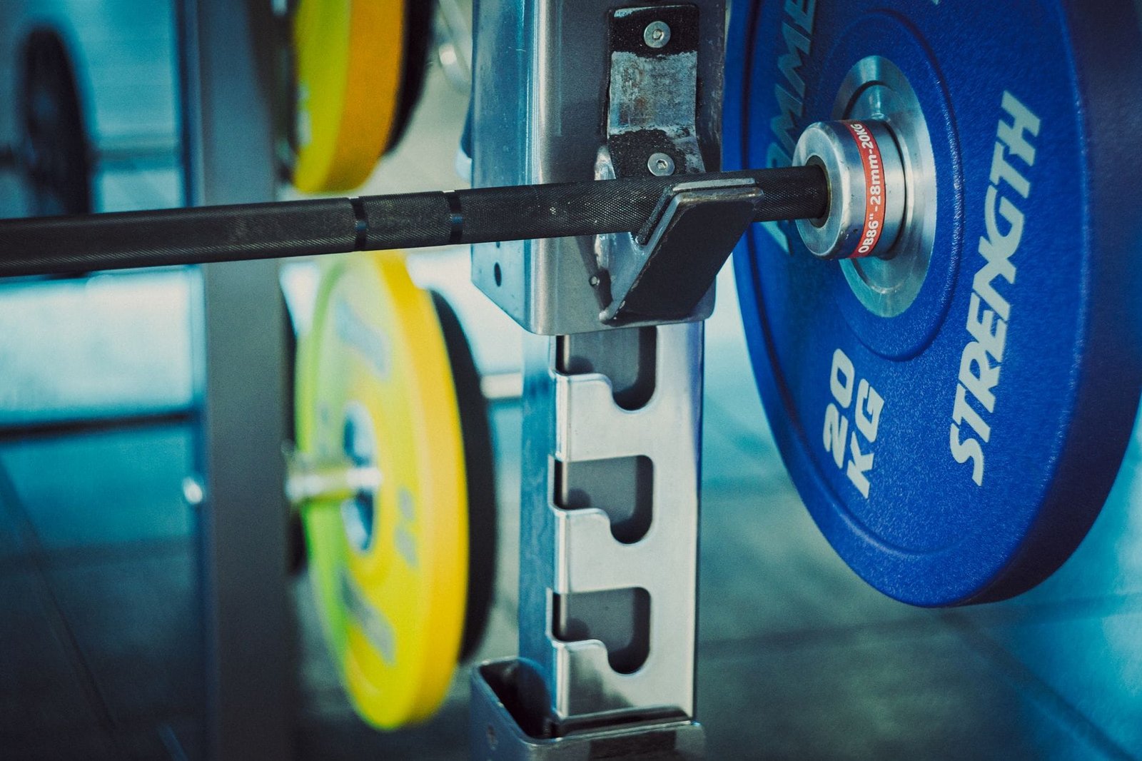 Weight plates loaded on a barbell in a gym rack
